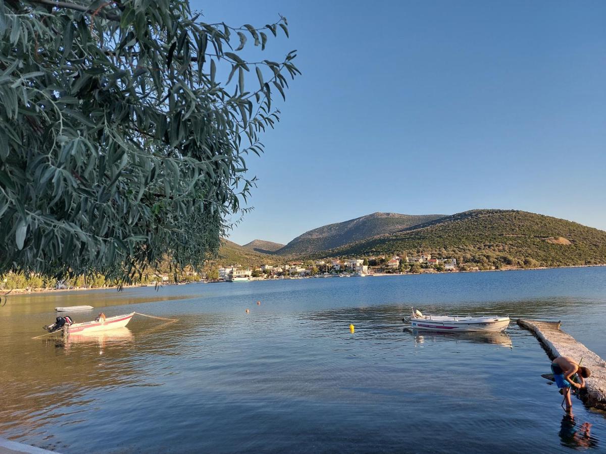 Vitamin Sea Studio Panagia  Dış mekan fotoğraf