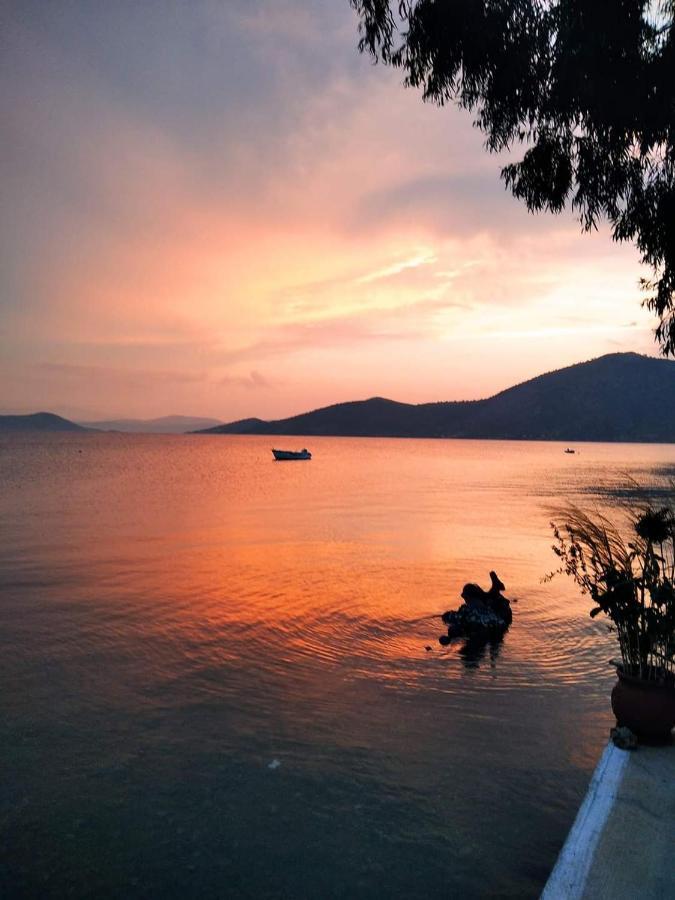 Vitamin Sea Studio Panagia  Dış mekan fotoğraf